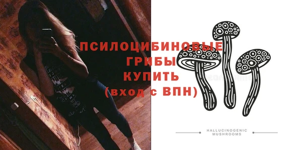 МДПВ Абинск
