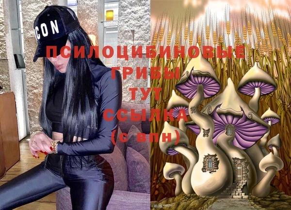 2c-b Абдулино