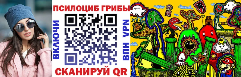 Галлюциногенные грибы Cubensis  дарнет шоп  Шилка 